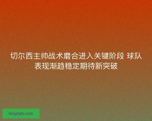 切尔西主帅战术磨合进入关键阶段 球队表现渐趋稳定期待新突破